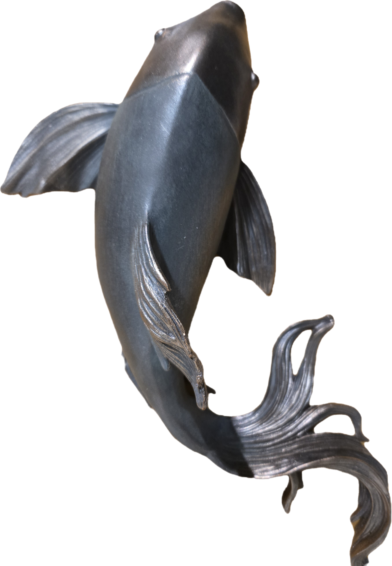 Fish Wall Art - medium