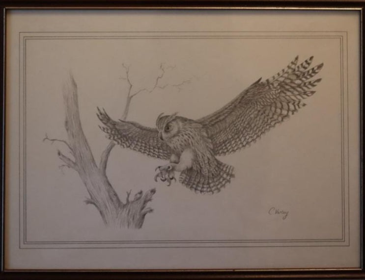Owl Drawing Print by Christine Varley (~1980's)