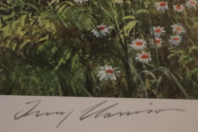 "Bowling The Maiden Over" - Signed print by Terry Harrison