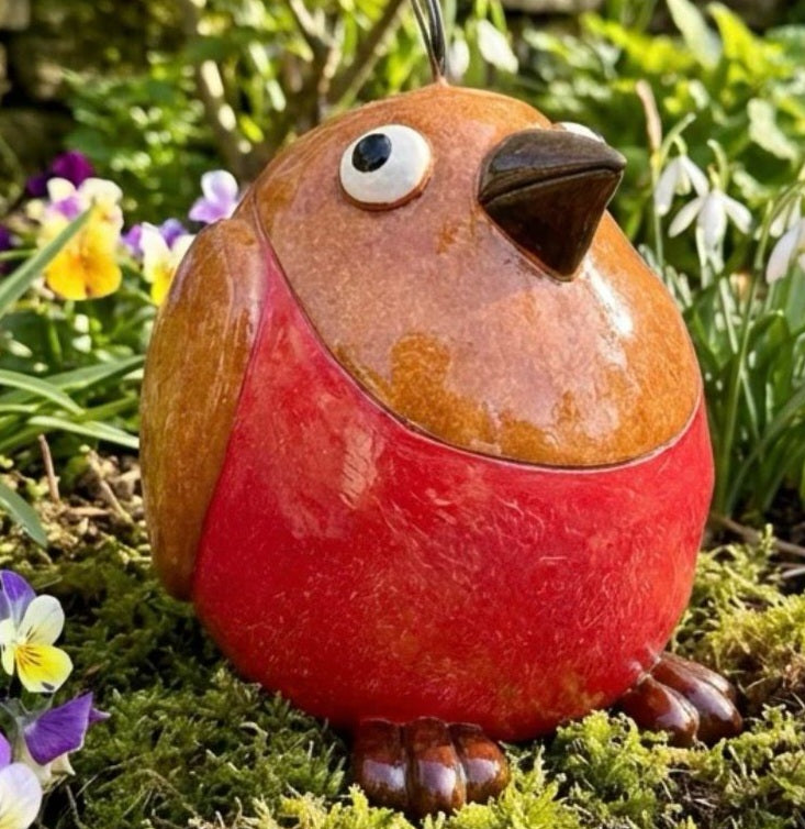 Robin Crazy Bird