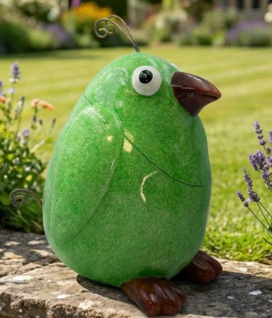 Kiwi Crazy Bird
