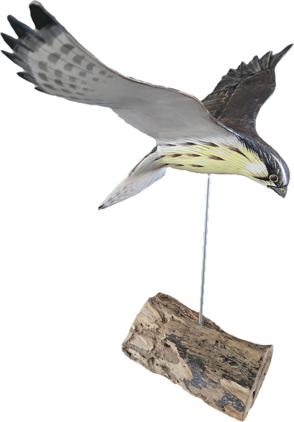 Kestrel Flying Sculpture