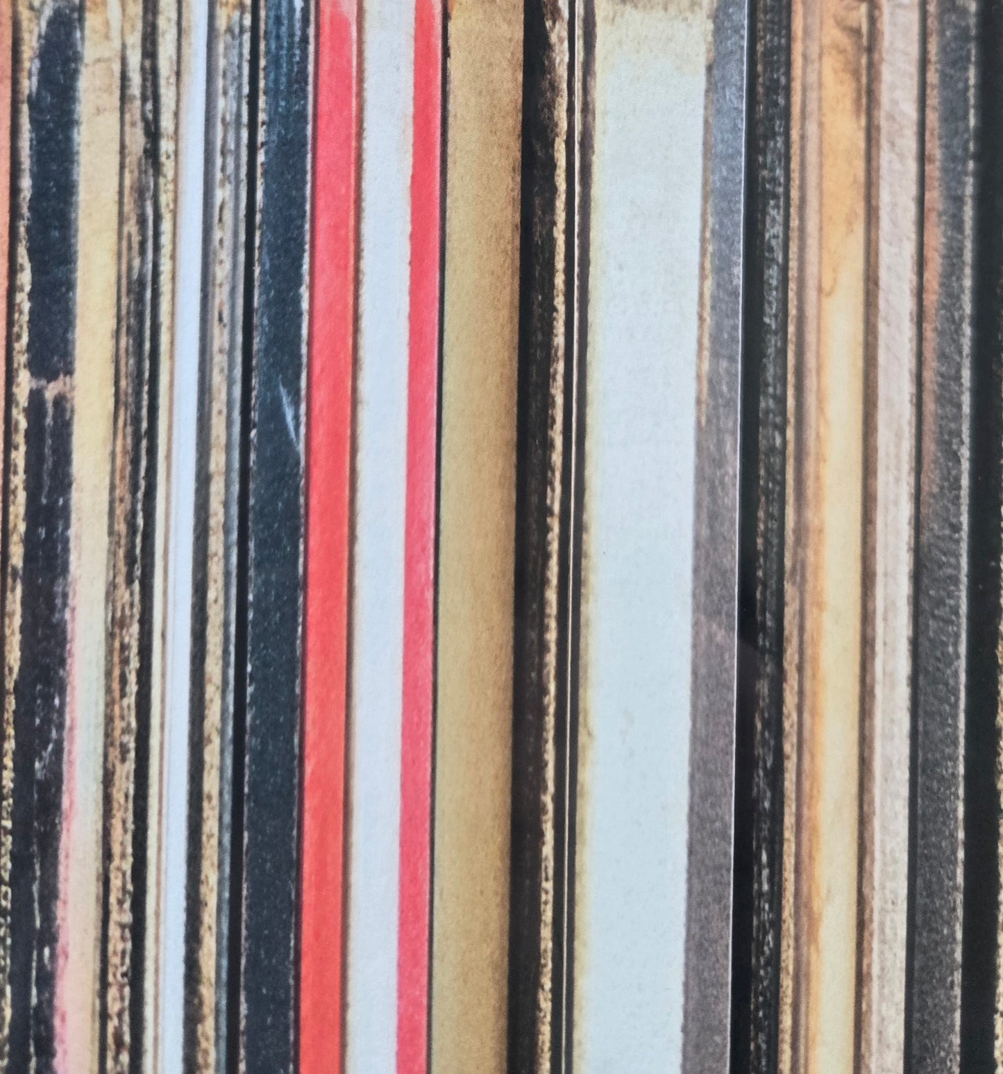 The Vinyl Collector