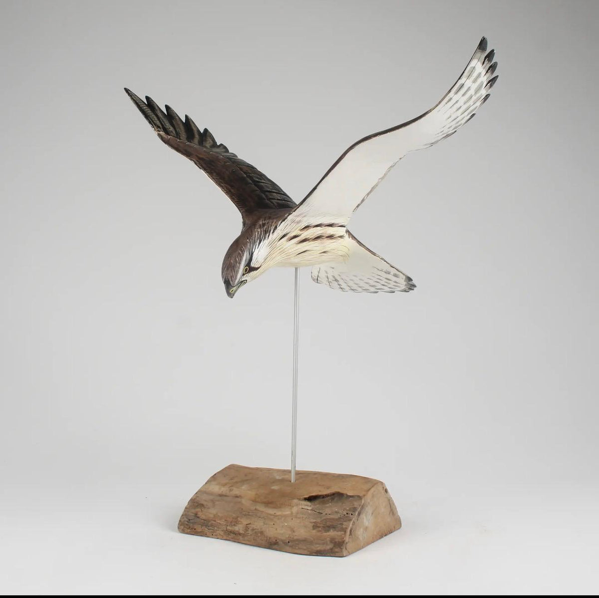 Kestrel Flying Sculpture