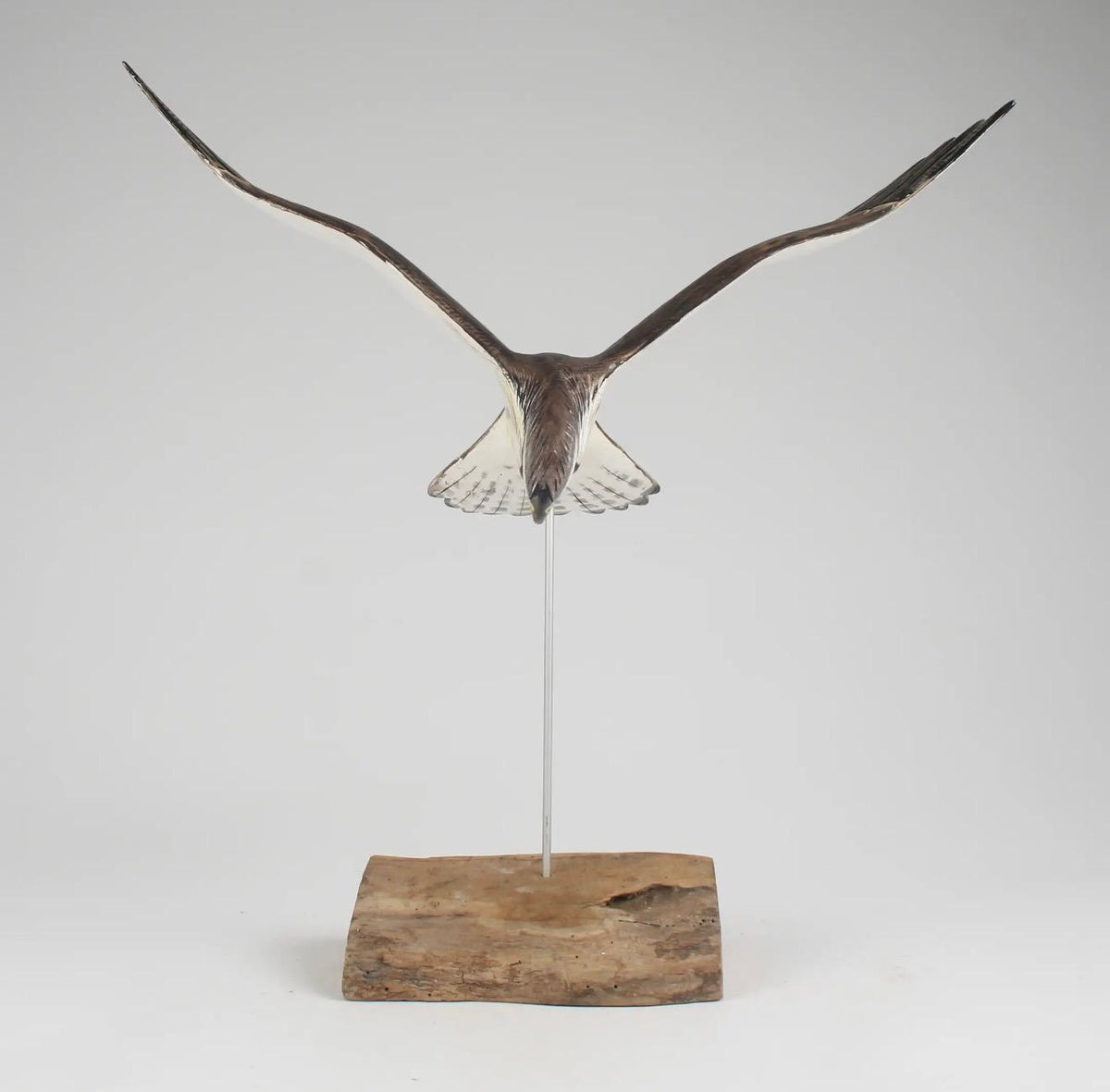 Kestrel Flying Sculpture