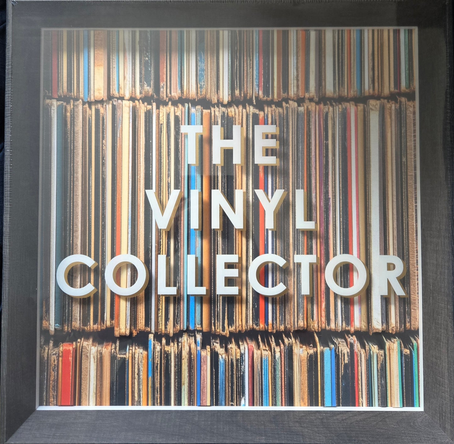 The Vinyl Collector