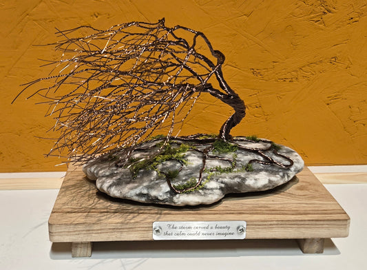 "Storm Carved" by Art Therapy